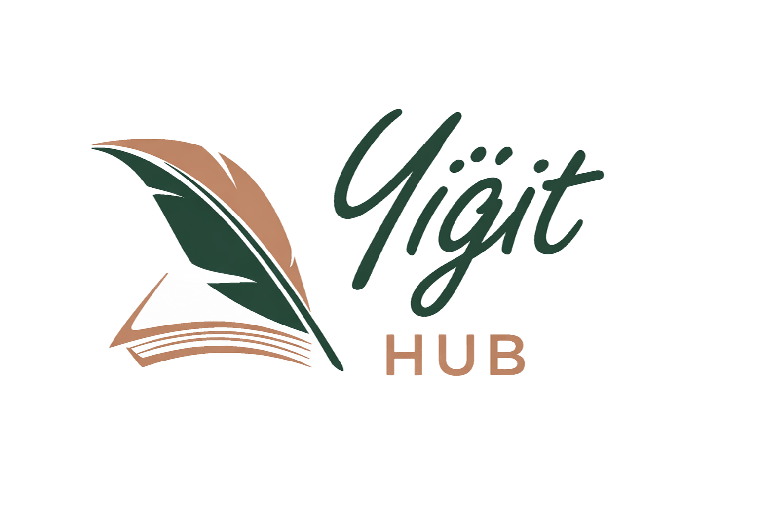 Yiğit HUB